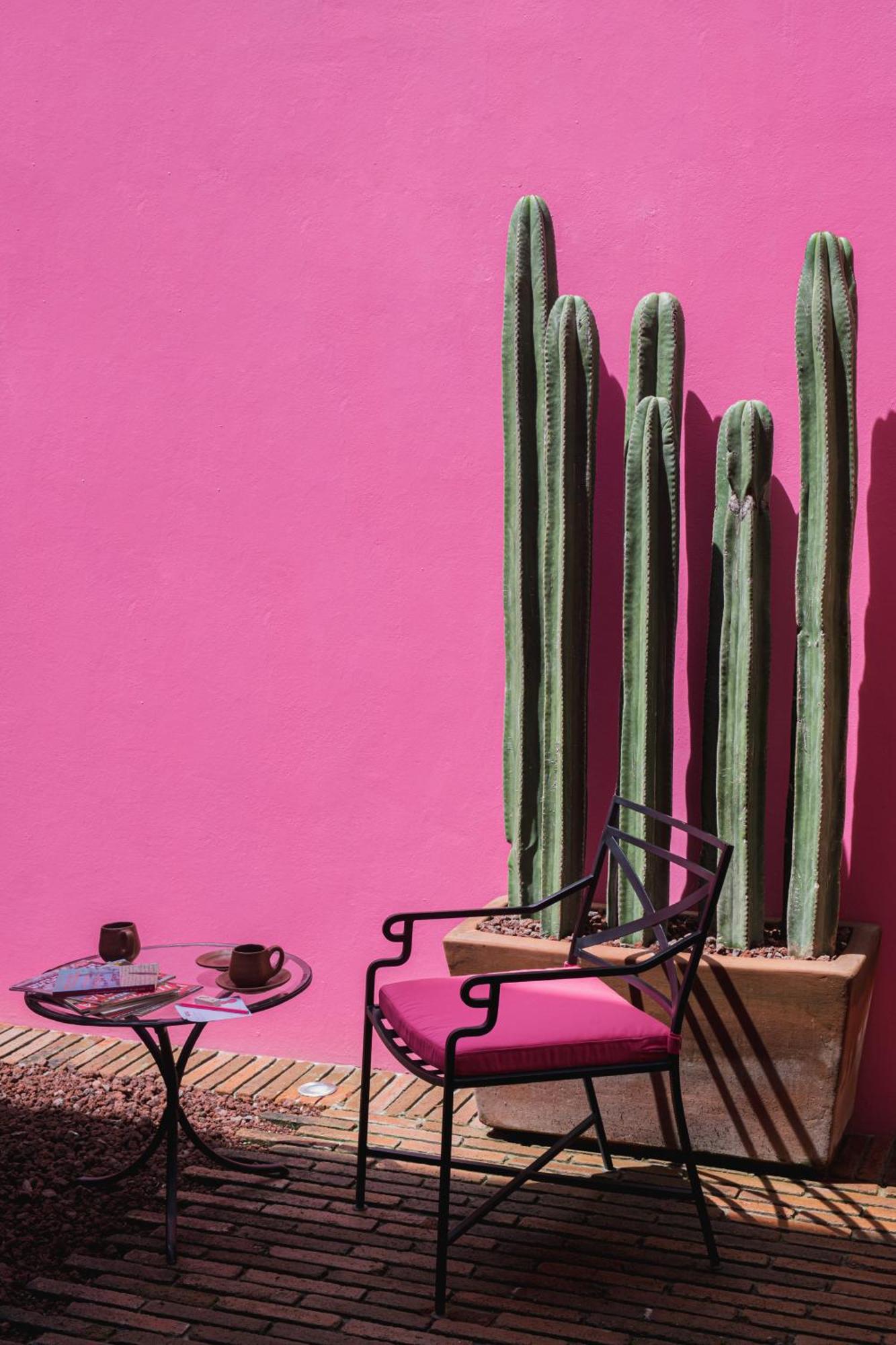 Casa Rosamate Apartment Oaxaca Exterior photo